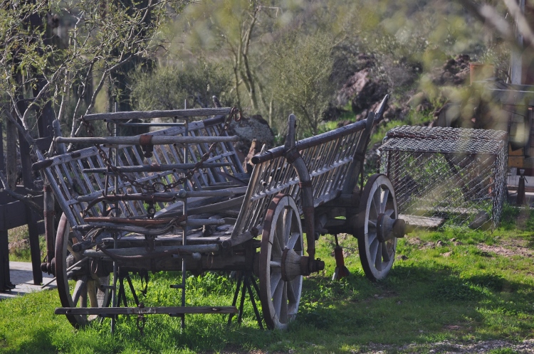 chuckwagon